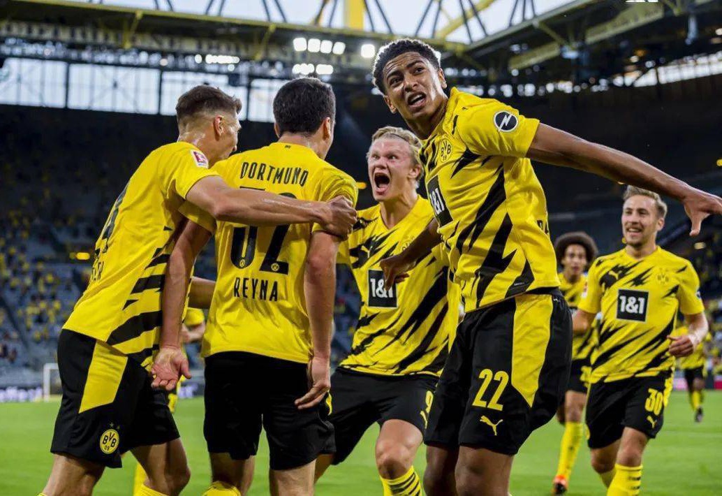 这为其他选 这为其他选