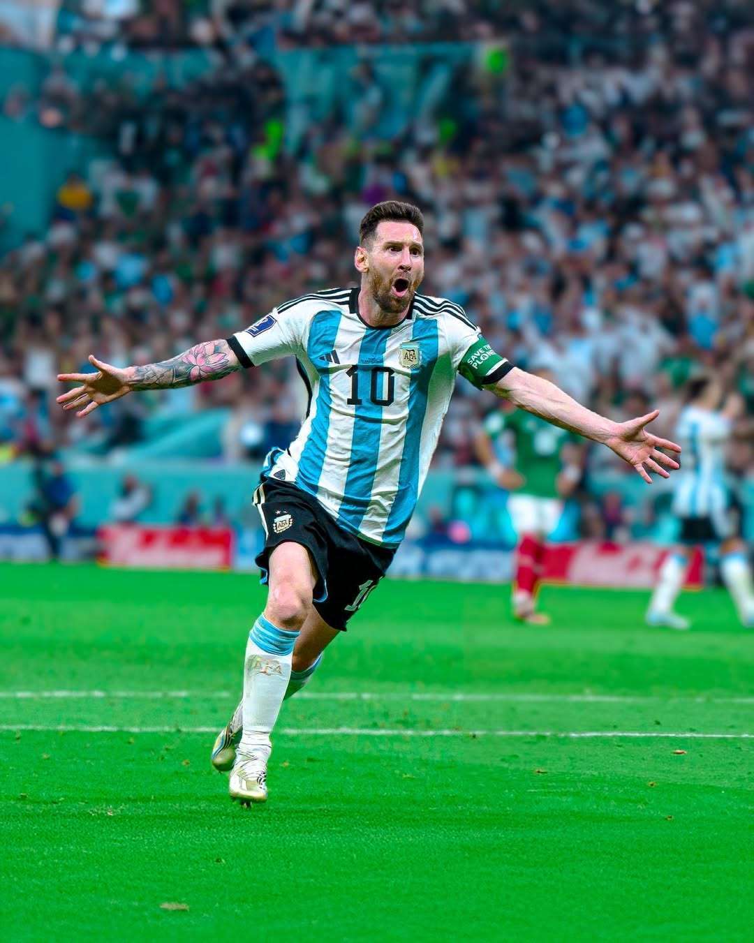 佳的比赛体 佳的比赛体