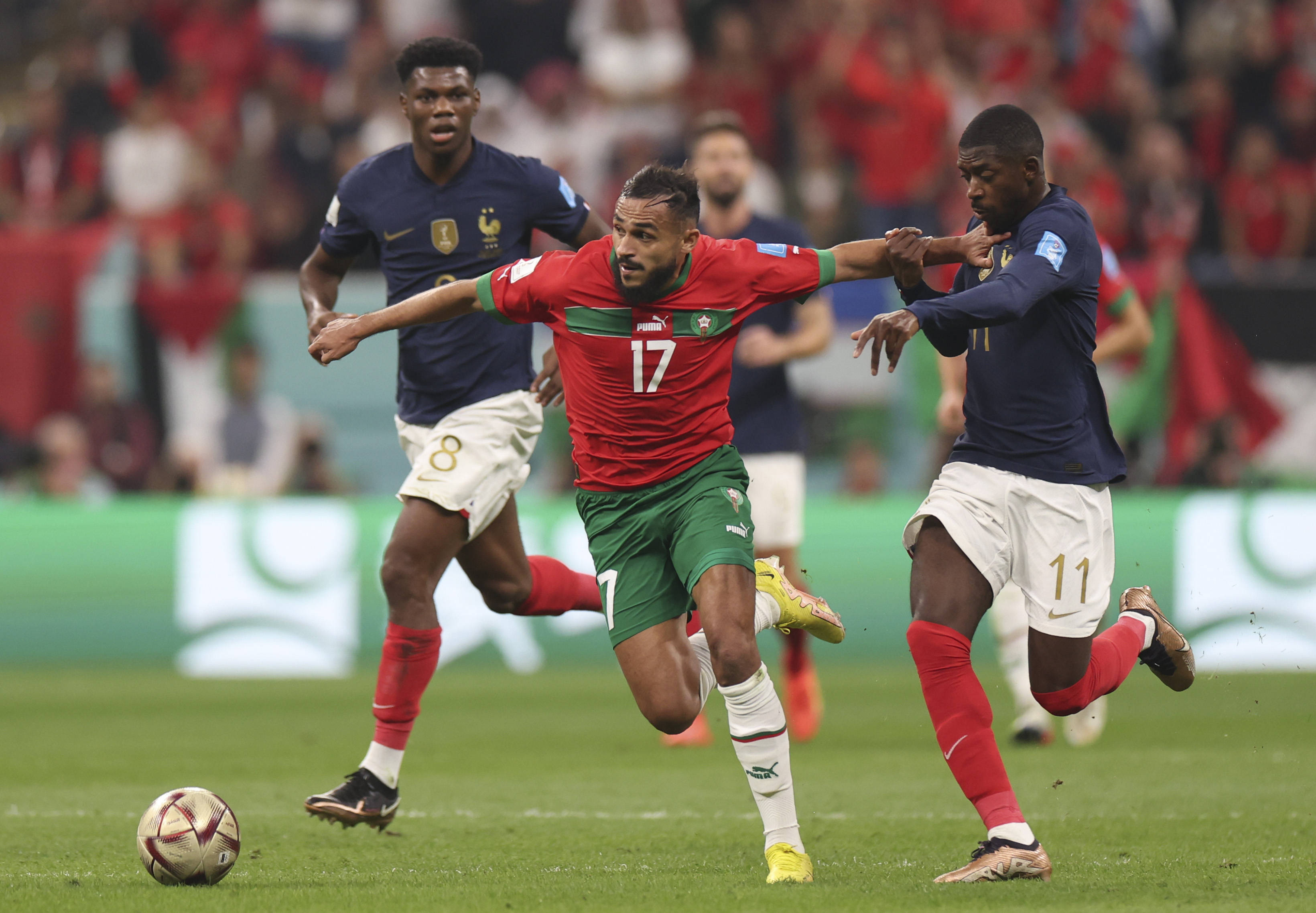 从容应对 从容应对