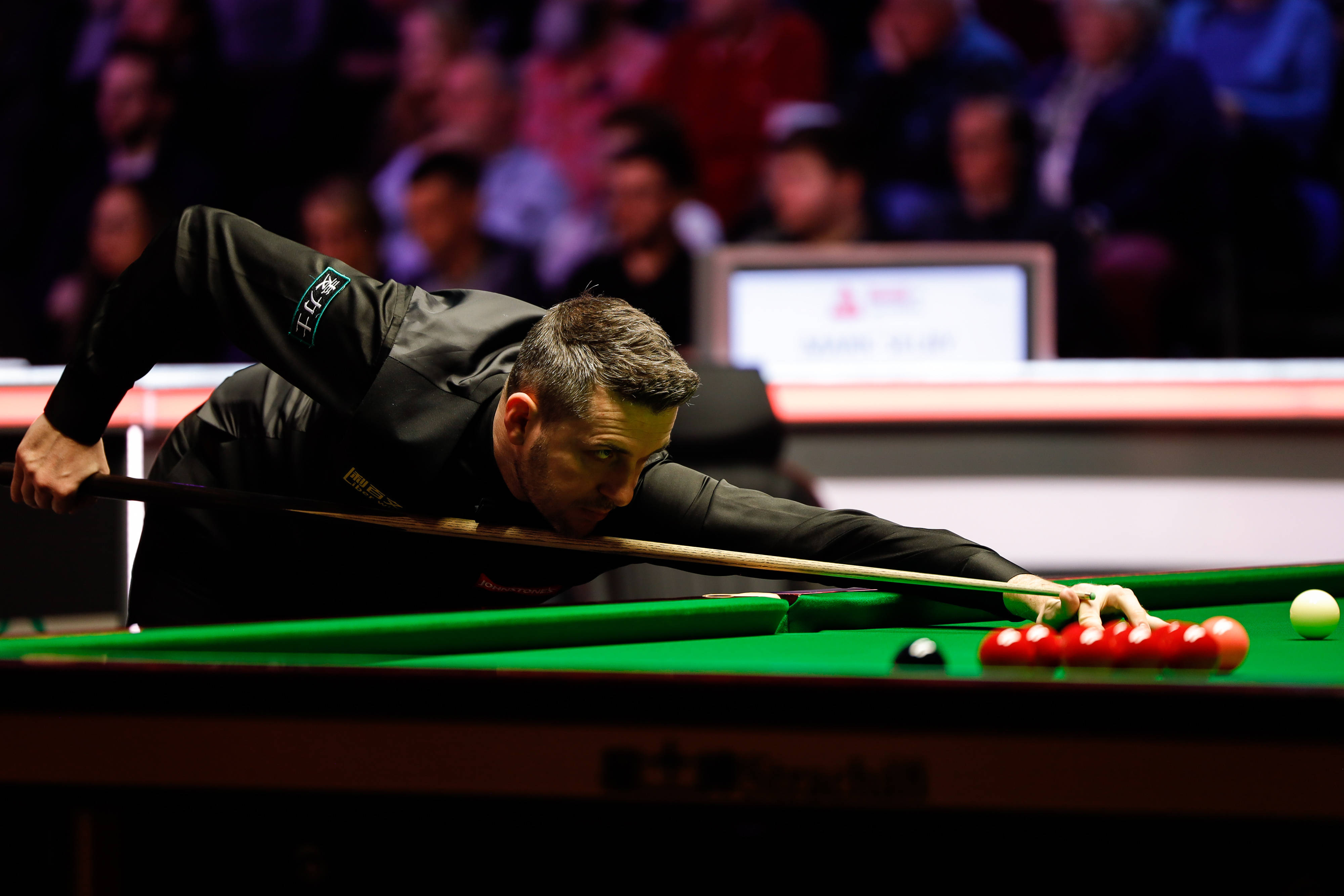 的重要部分 的重要部分