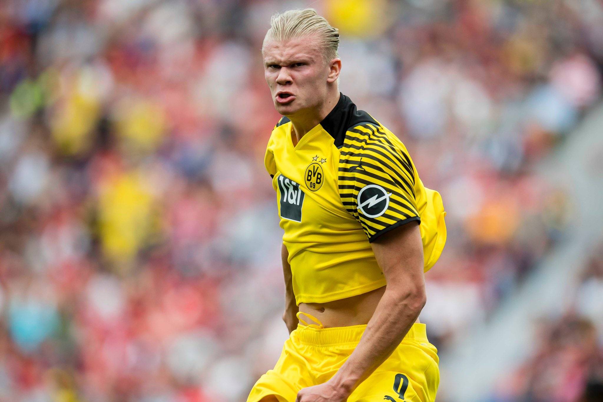 对抗中叠加 对抗中叠加